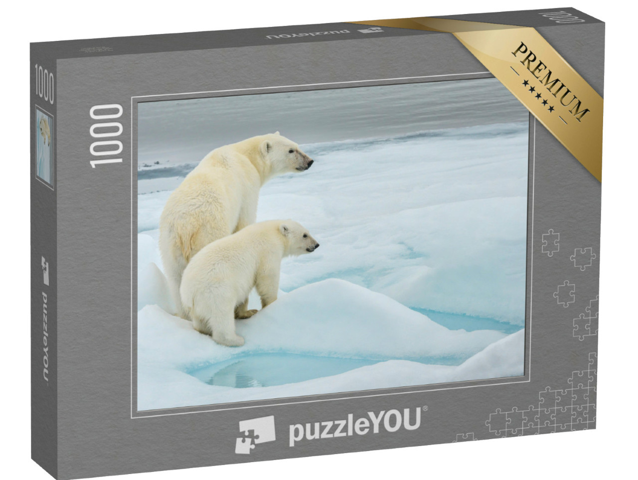 Puzzel 1000 stukjes „IJsbeer moeder en jong op een ijsschots in de Noordelijke IJszee, Noorwegen“