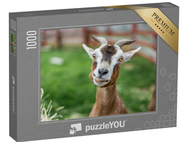 Puzzel 1000 stukjes „Close-up: schattige geit in de wei“