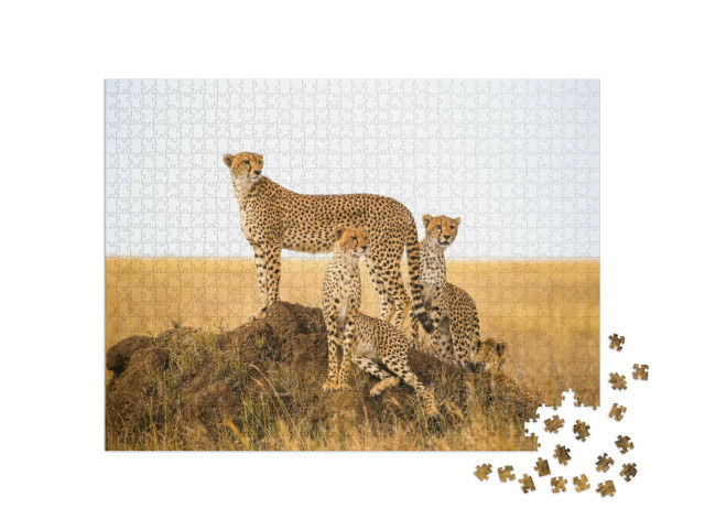 Puzzel 1000 stukjes „Jachtluipaarden in het Serengeti Nationaal Park, Tanzania“