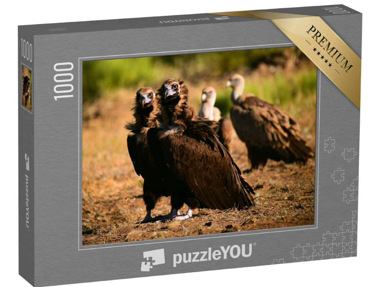 Puzzel 1000 stukjes „Zwarte gier in Spanje“