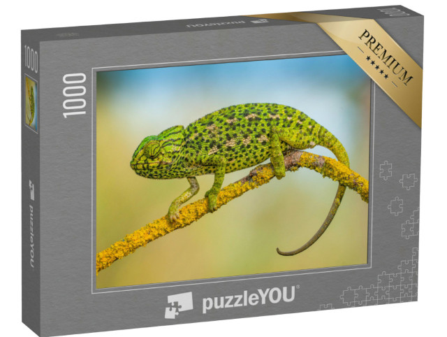 Puzzel 1000 stukjes „Gewone kameleon“