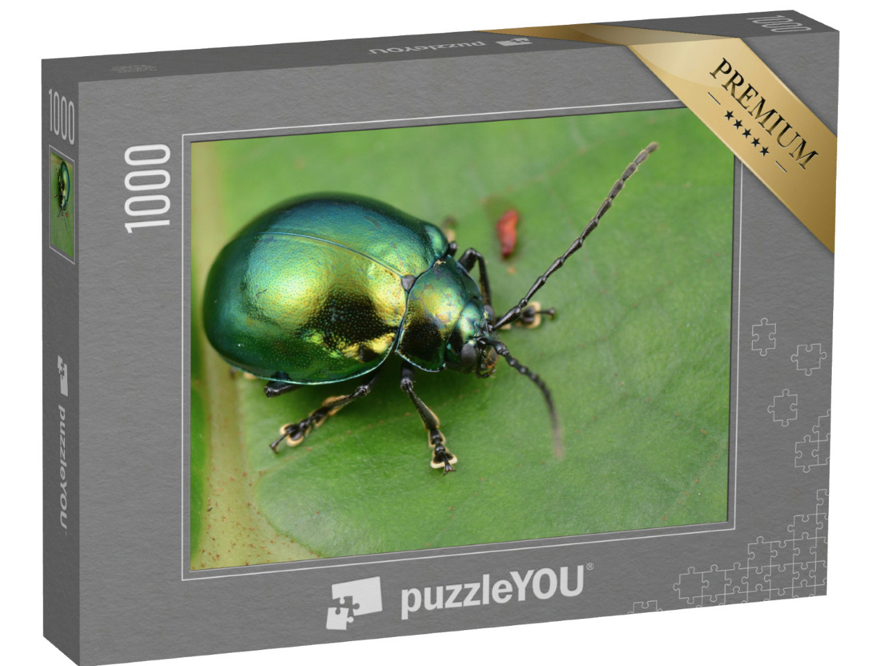 Puzzel 1000 stukjes „Macrofoto van een glanzend groene bladsprietkever“