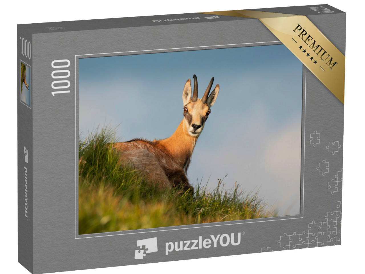 Puzzel 1000 stukjes „Gemzen op een bergweide in het avondlicht“