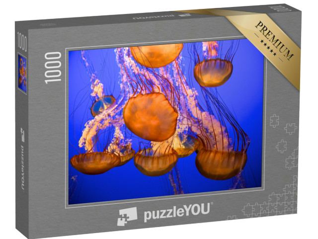 Puzzel 1000 stukjes „Kwallen voor een blauwe zee-achtergrond“