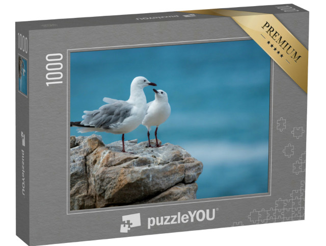 Puzzel 1000 stukjes „Paar meeuwen op de rotskust van de Indische Oceaan“