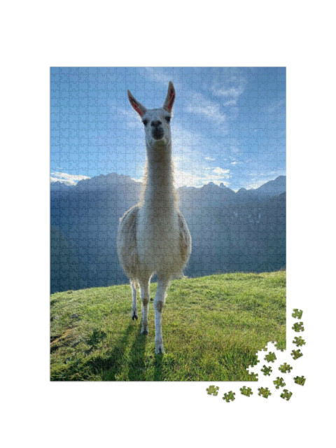 Puzzel 1000 stukjes „Witte lama in de Andes, Peru“