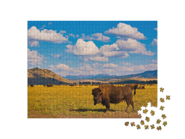 Puzzel 1000 stukjes „Vrijheid voor bizons in Yellowstone National Park, VS“