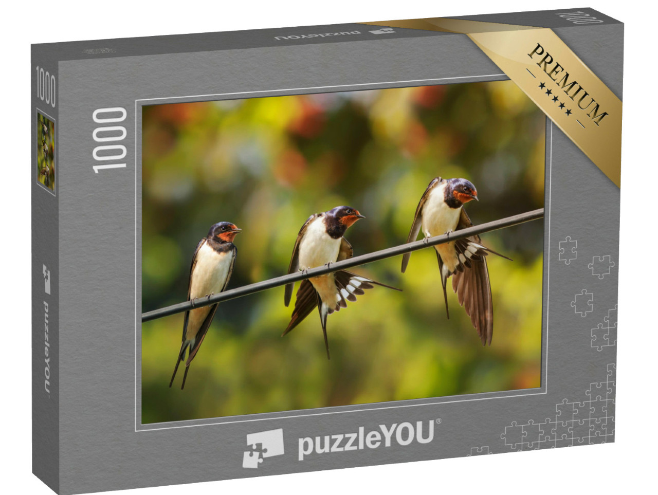 Puzzel 1000 stukjes „Dorpszwaluwen poetsen hun veren“