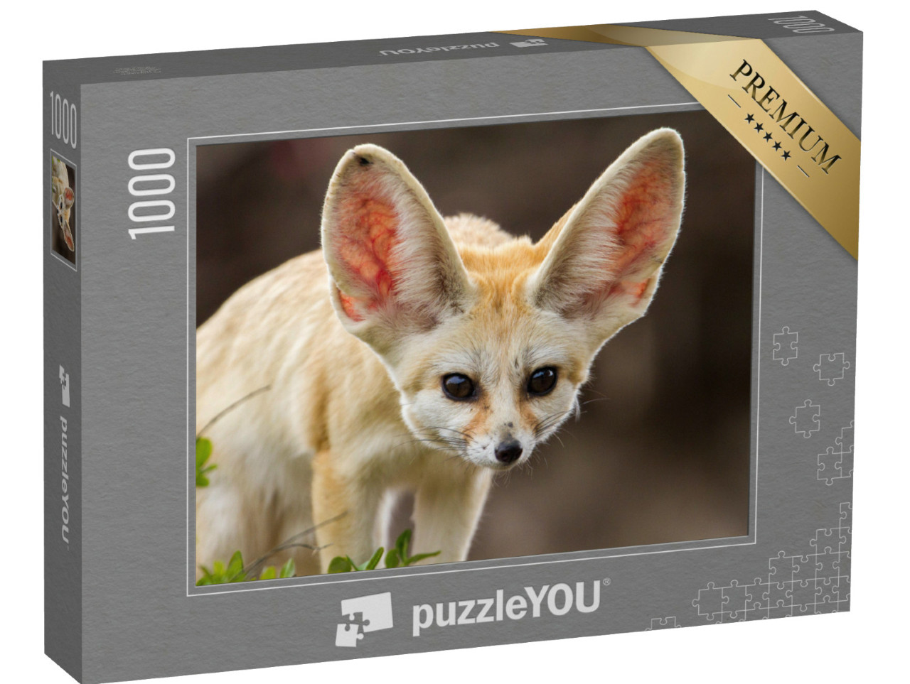 Puzzel 1000 stukjes „Schattige fennec vos met grote oren“