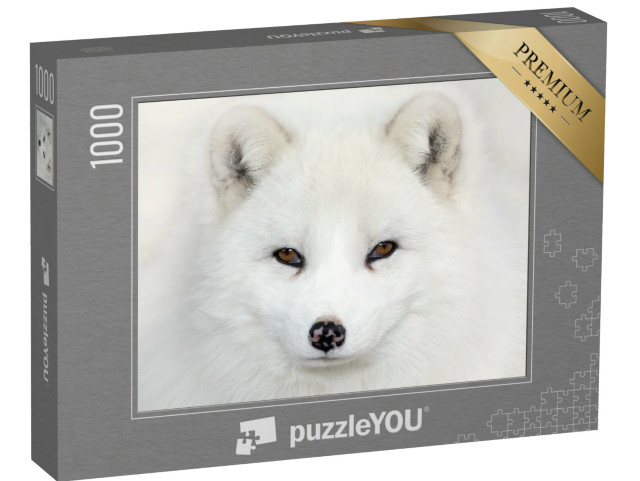 Puzzel 1000 stukjes „Oog in oog met een poolvos“