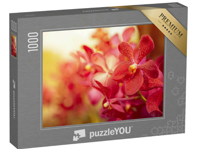 Puzzel 1000 stukjes „Prachtige orchidee in het avondlicht“