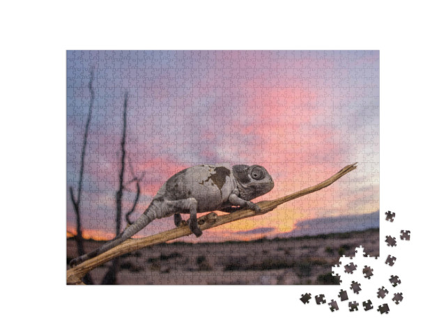 Puzzel 1000 stukjes „Kameleon bij zonsondergang, Spanje“