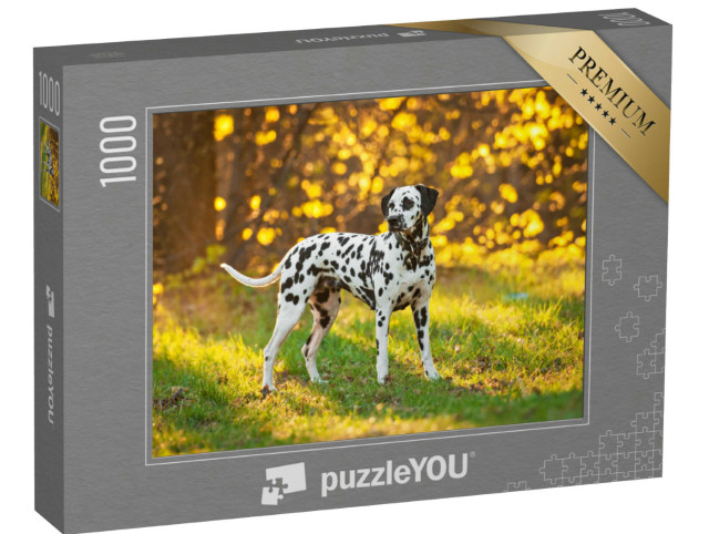 Puzzel 1000 stukjes „Dalmatiërs bij zonsondergang“