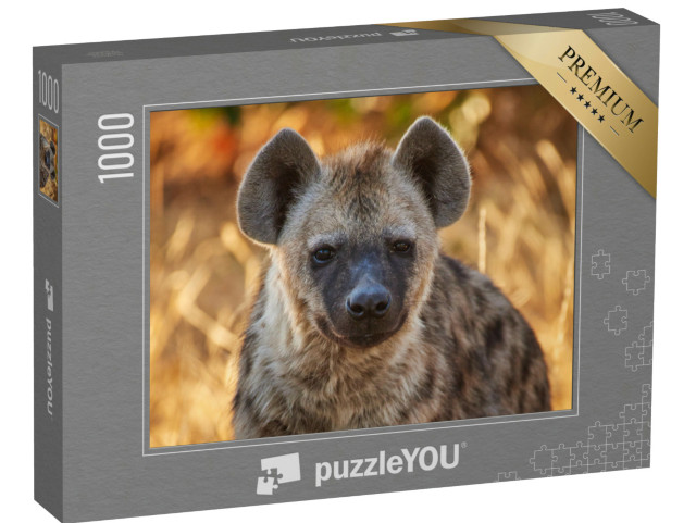 Puzzel 1000 stukjes „Jonge hyena in het avondlicht“