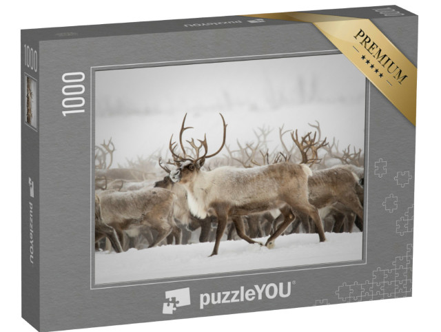 Puzzel 1000 stukjes „Rendiertrek naar de broedgebieden“