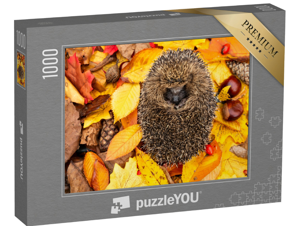 Puzzel 1000 stukjes „Opgekrulde egel, slapend in de herfstbladeren“