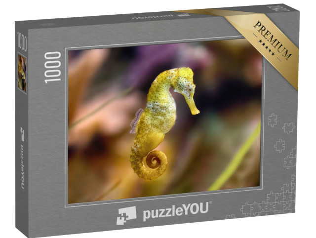 Puzzel 1000 stukjes „Geel langsnuitzeepaardje“