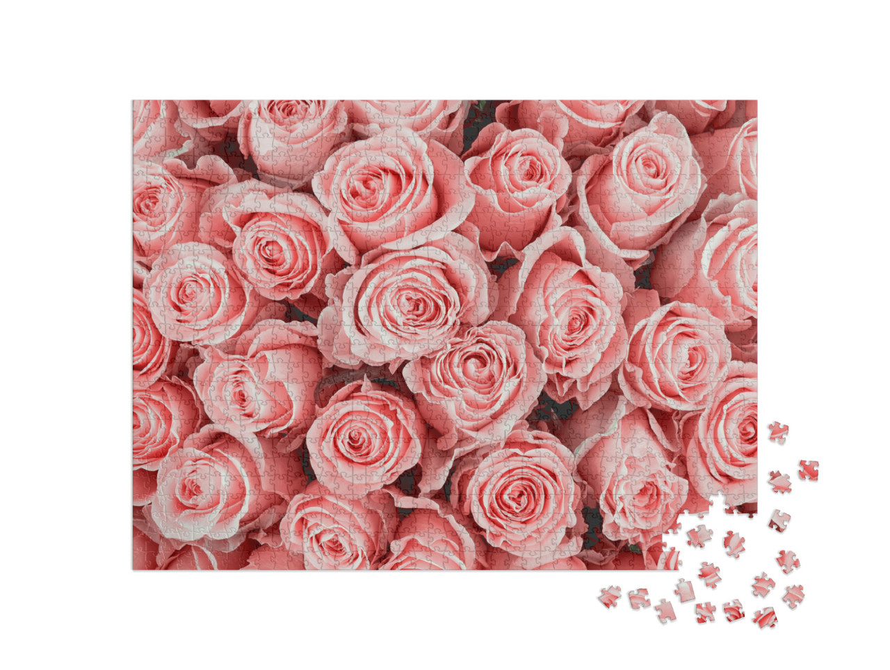 Puzzel 1000 stukjes „Roze rozen“
