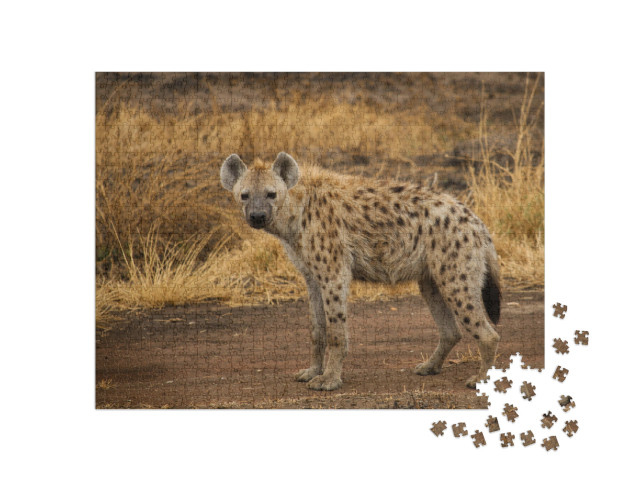 Puzzel 1000 stukjes „Gevlekte hyena in de savanne“