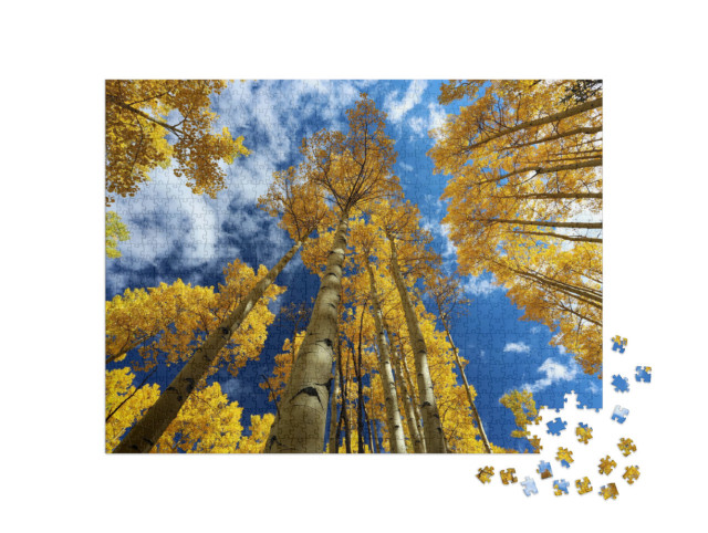 Puzzel 1000 stukjes „Herfst in de Rocky Mountains met gouden aspens, Colorado“