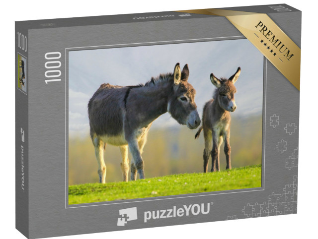 Puzzel 1000 stukjes „Schattige grijze baby-ezel en moeder in een bloemenweide“