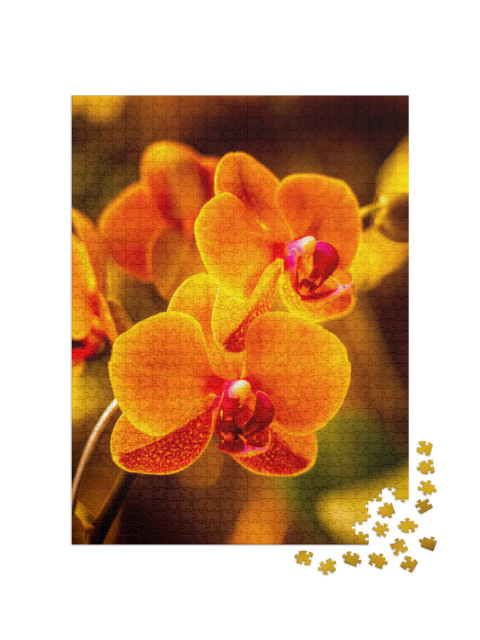 Puzzel 1000 stukjes „Fel oranje orchidee bloem“