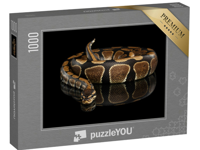 Puzzel 1000 stukjes „Koninklijke python“