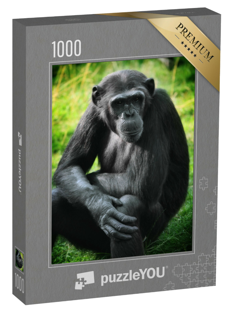Puzzel 1000 stukjes „Chimpansees“
