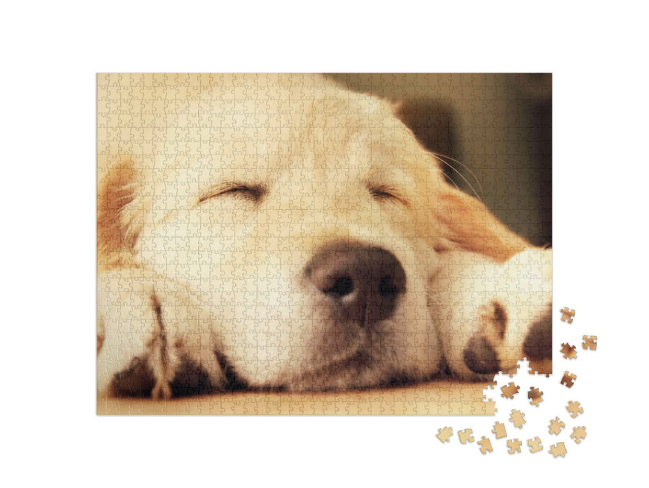 Puzzel 1000 stukjes „Golden Retriever puppy doet een dutje“