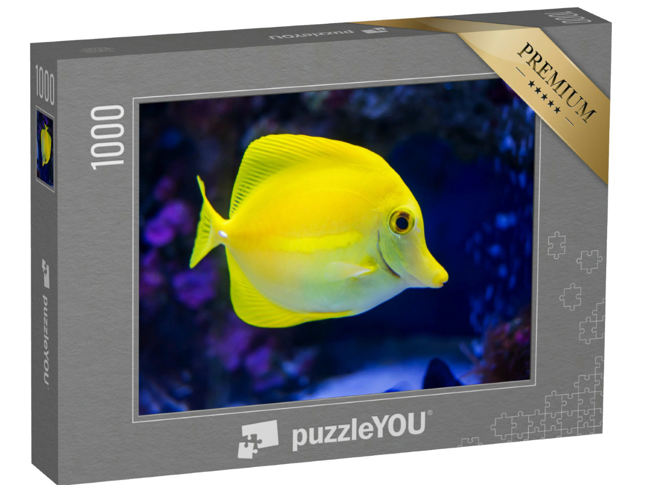 Puzzel 1000 stukjes „Gele doornhaai“