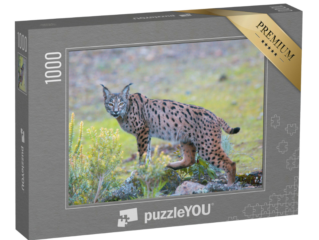 Puzzel 1000 stukjes „Iberische lynx in de Sierra Morena, Andalusië“