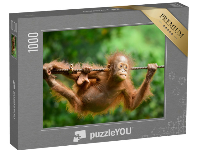 Puzzel 1000 stukjes „Close-up van de Kalimantan orang-oetan“
