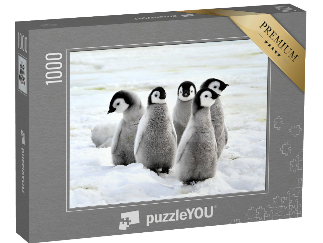 Puzzel 1000 stukjes „Keizerspinguïn kuikens in de sneeuw, Antarctica“