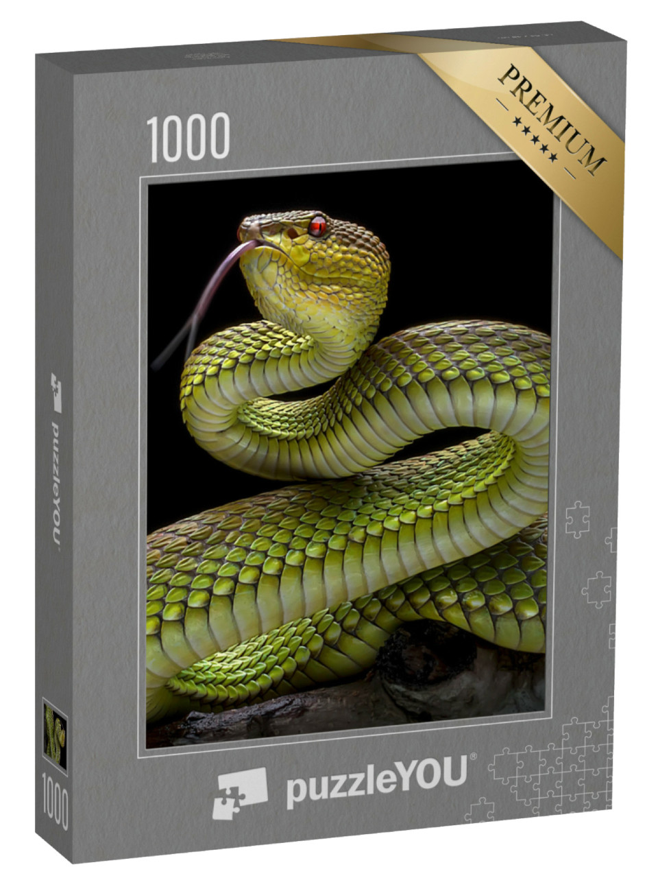 Puzzel 1000 stukjes „Groene adderslang met gouden huid“