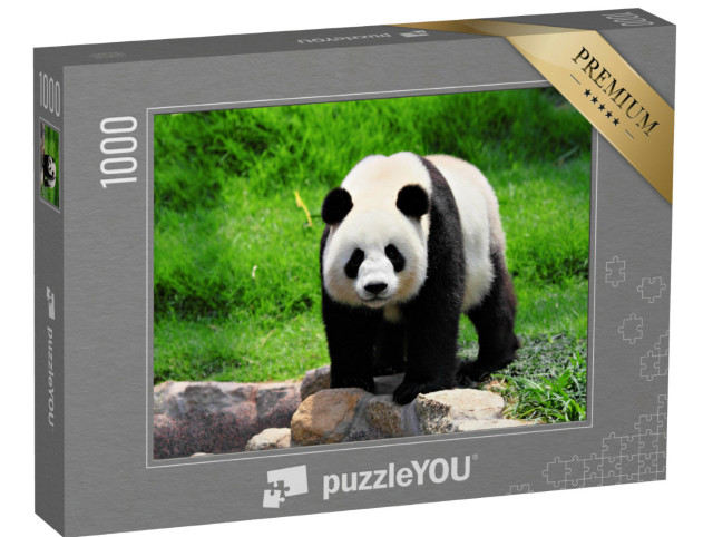 Puzzel 1000 stukjes „Panda“