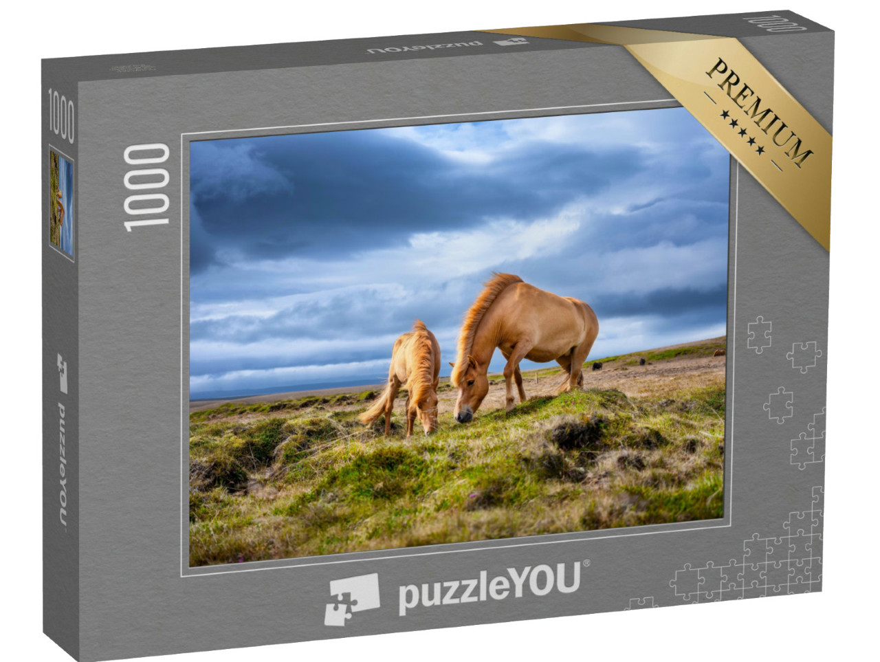 Puzzel 1000 stukjes „IJslandse paarden op de Westfjord in IJsland“