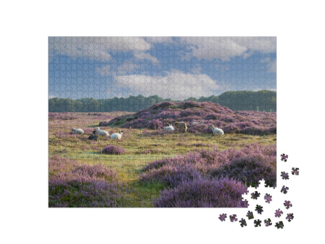 Puzzel 1000 stukjes „Gasterse Duinen bij het dorp Gasteren in de Nederlandse provincie Drenthe“