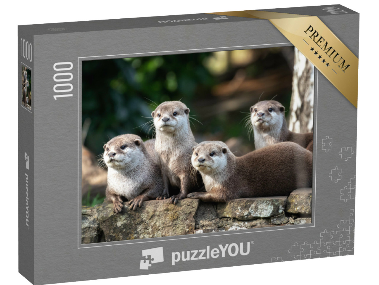 Puzzel 1000 stukjes „Groep van vier aandachtige Oosterse kleine otters“