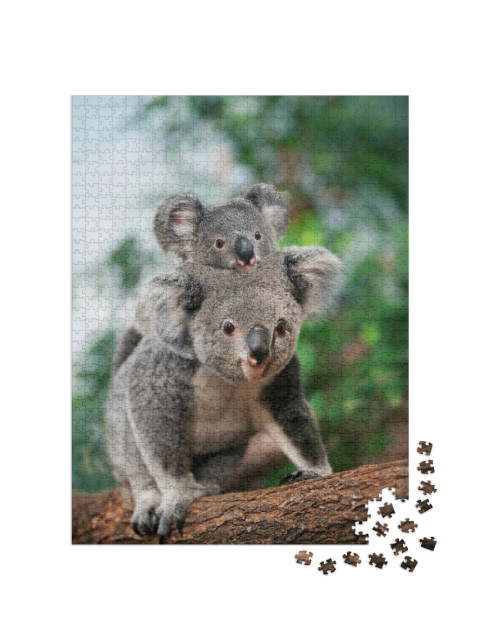 Puzzel 1000 stukjes „Vrouwelijke koala met jong op haar rug“