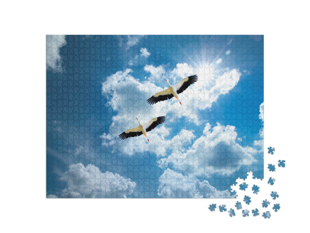Puzzel 1000 stukjes „Twee ooievaars op weg naar huis“