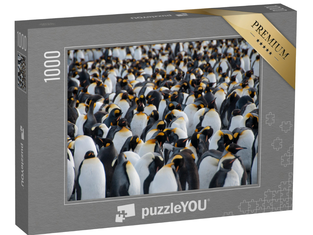 Puzzel 1000 stukjes „Koningspinguïns in het kustgebied van Gold Harbour, South Georgia Eiland“