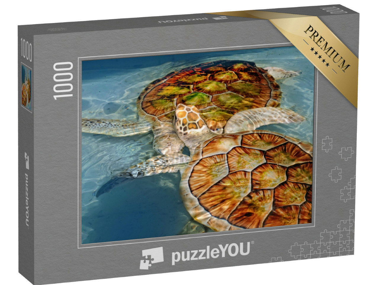 Puzzel 1000 stukjes „Twee waterschildpadden“