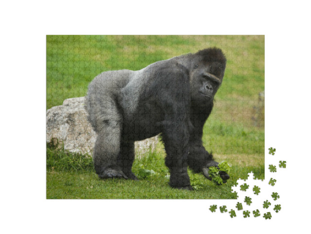 Puzzel 1000 stukjes „Westelijke laaglandgorilla“