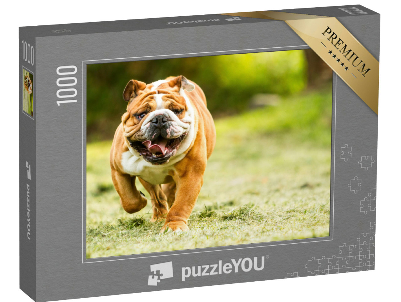 Puzzel 1000 stukjes „Bulldog op een weiland“