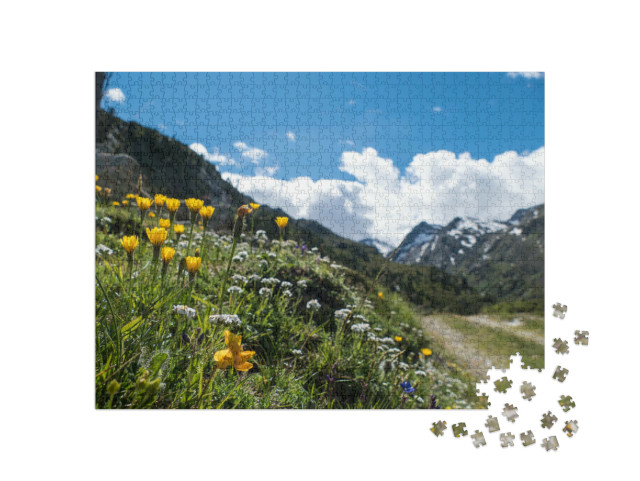 Puzzel 1000 stukjes „Fantastisch mooi zomerlandschap in de Ötztaler Alpen“