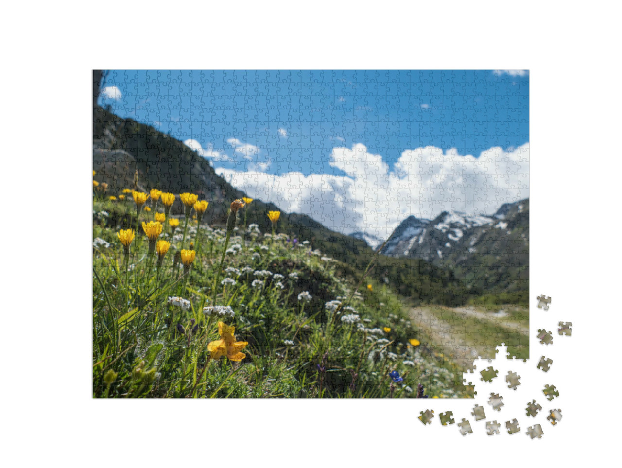Puzzel 1000 stukjes „Fantastisch mooi zomerlandschap in de Ötztaler Alpen“