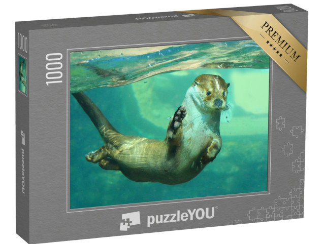Puzzel 1000 stukjes „De Europese otter onder water“