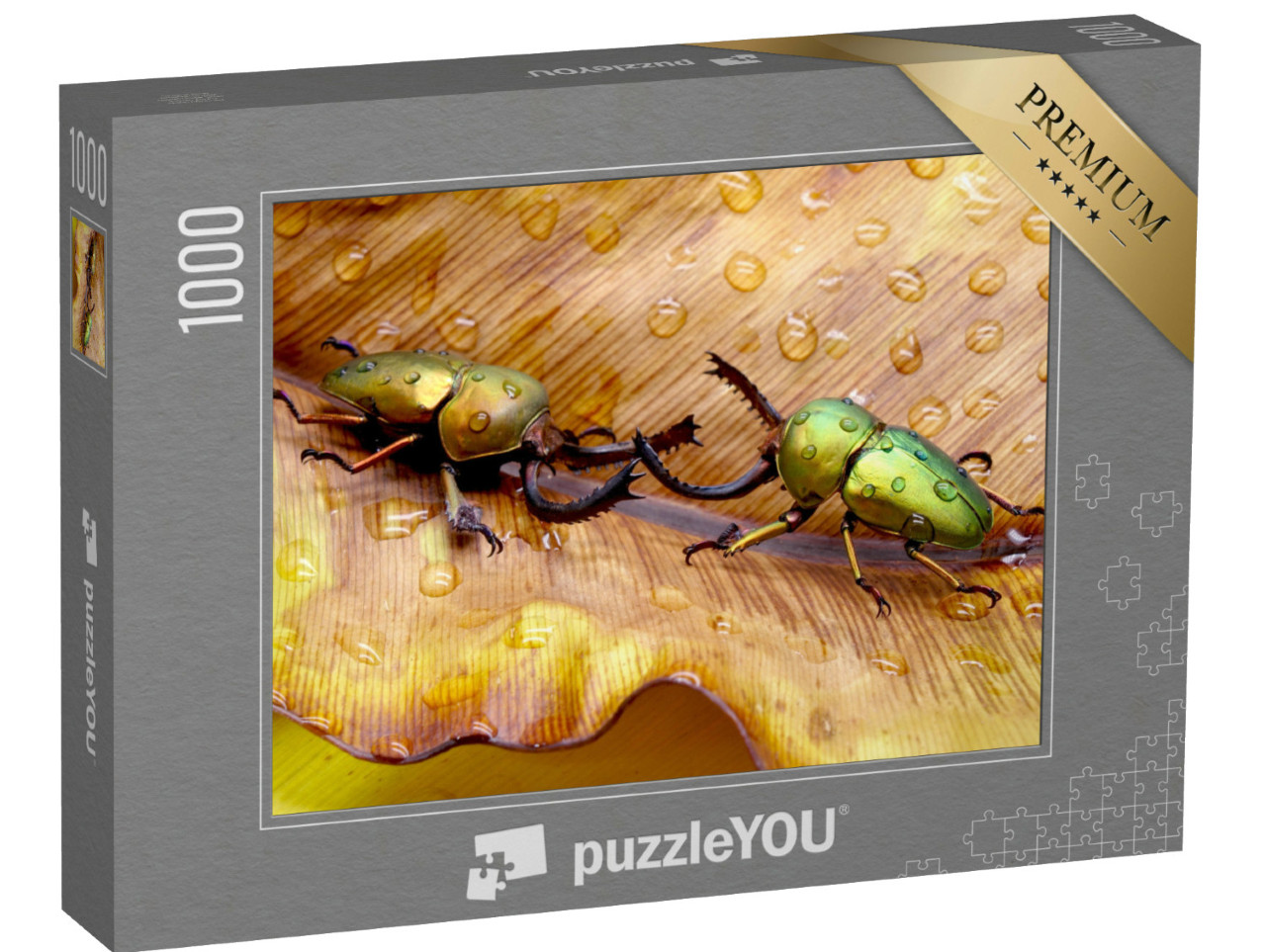 Puzzel 1000 stukjes „Twee vechtende zaagtandkevers, Papoea-Nieuw-Guinea“