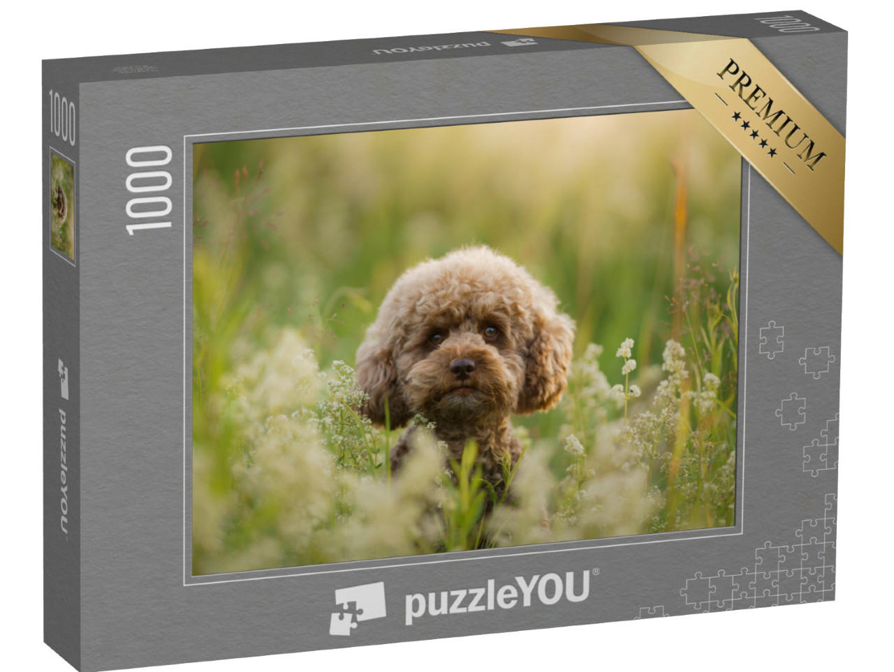 Puzzel 1000 stukjes „Dwergpoedel in een zomerweide“