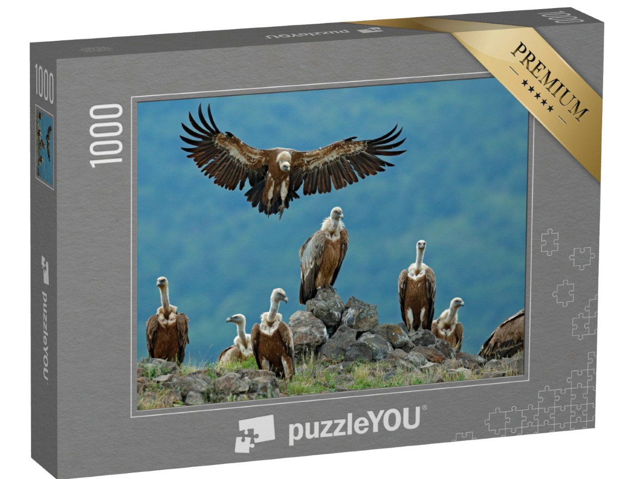 Puzzel 1000 stukjes „Groep vale gieren in hun natuurlijke omgeving“